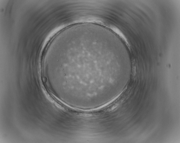 X0000081311088200701251737