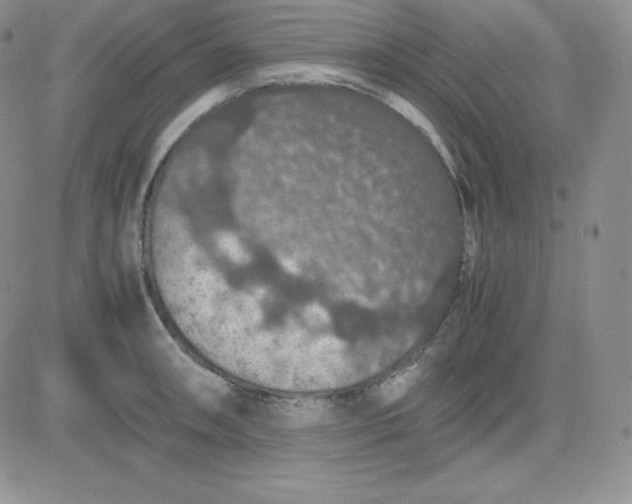 X0000081311090200701251737