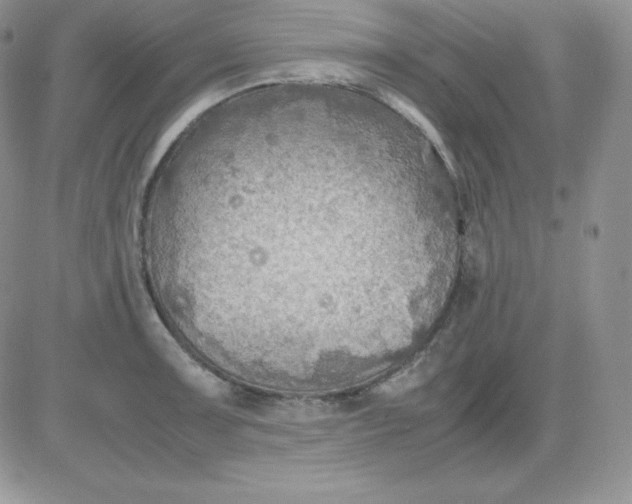 X0000081311091200701251737