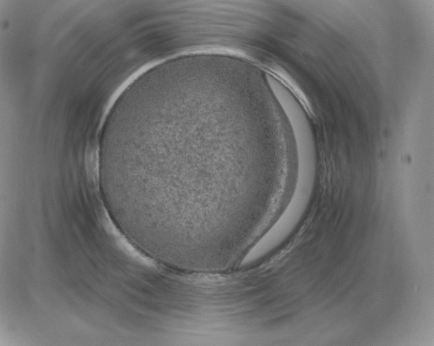 X0000081311092200701251737