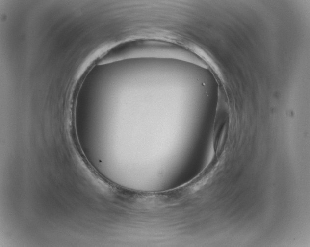 X0000081311093200701251737