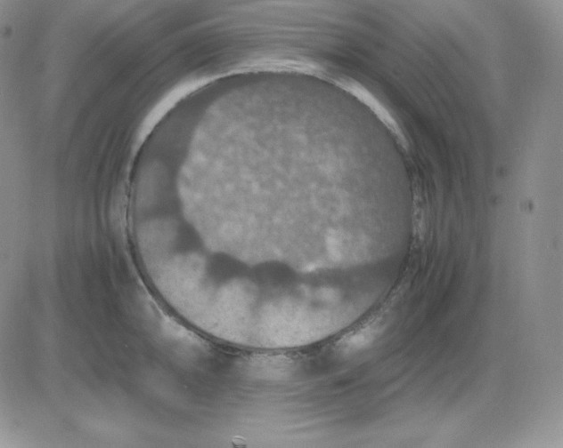 X0000081311094200701251737