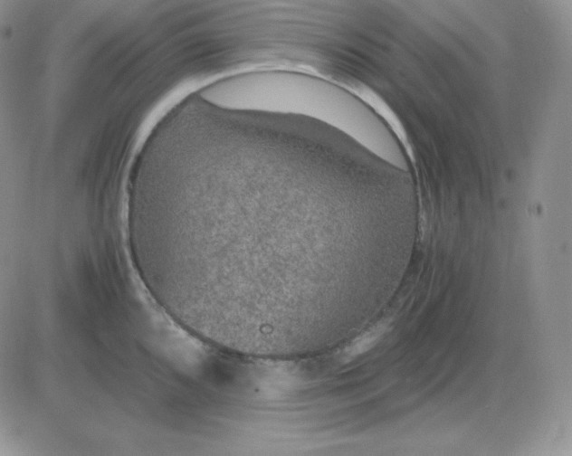 X0000081311096200701251737