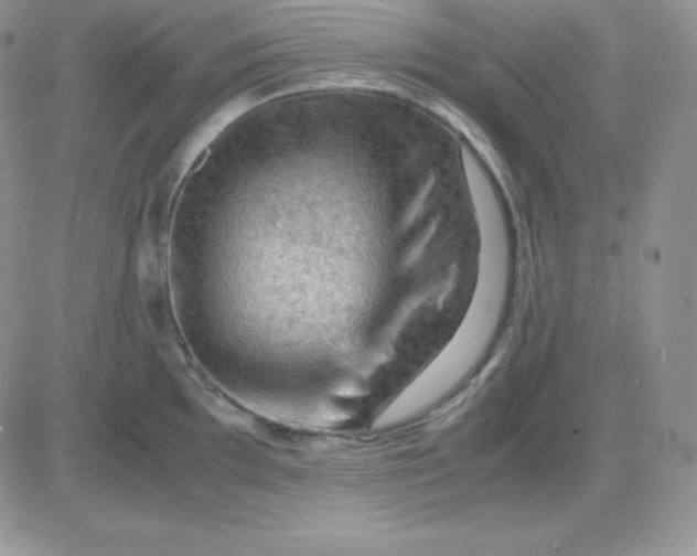 X0000081311097200701251737