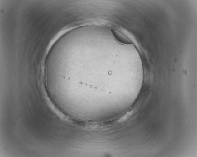 X0000081311099200701251737