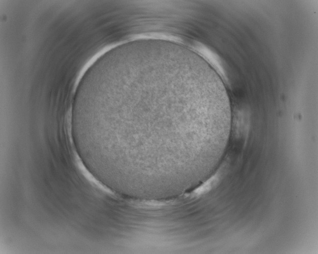 X0000081311100200701251737