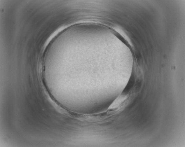 X0000081311101200701251737