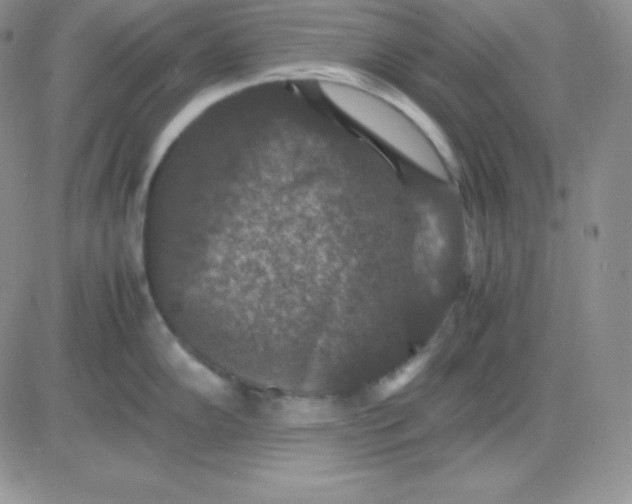 X0000081311102200701251737