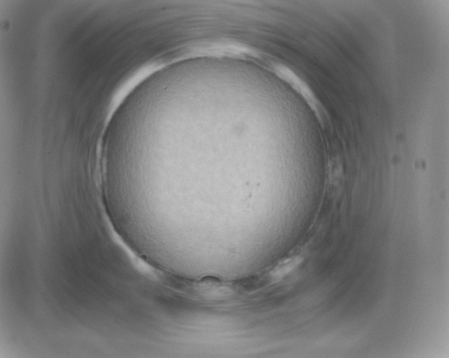 X0000081311103200701251737