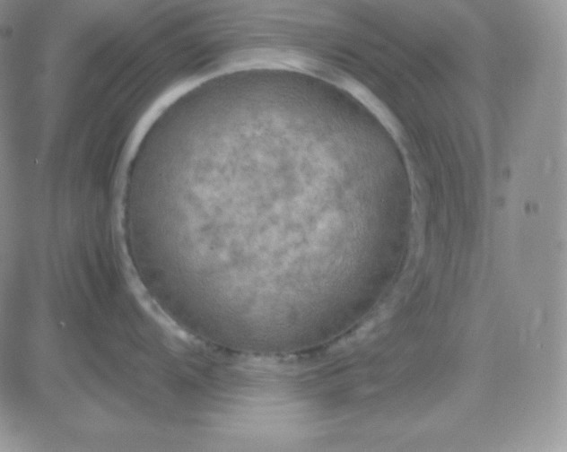 X0000081311104200701251736