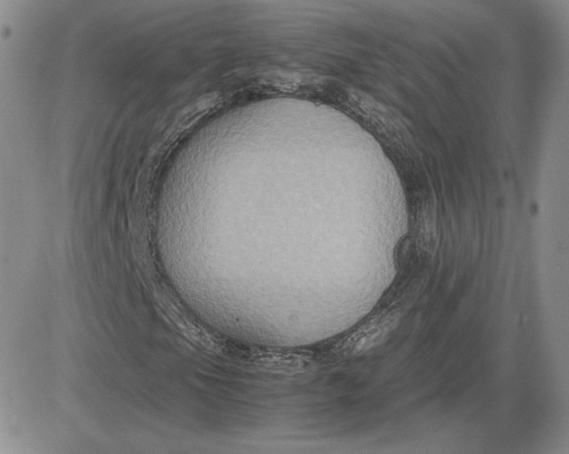 X0000081311105200701251736