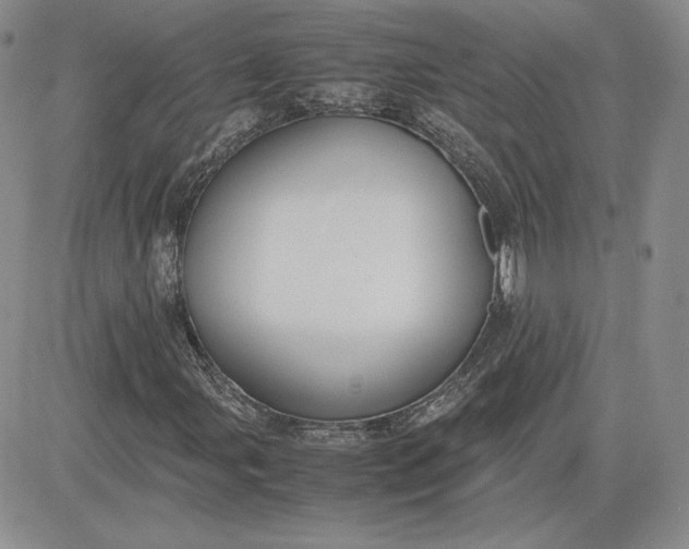 X0000081311107200701251736