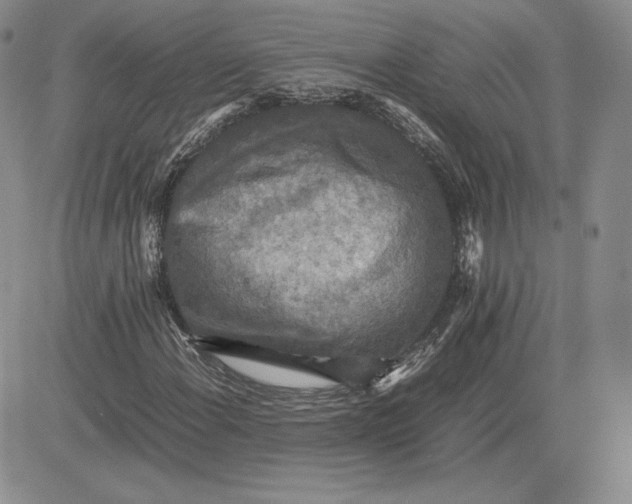 X0000081311108200701251736