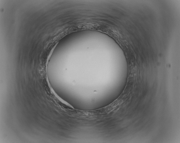 X0000081311109200701251736