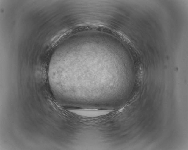 X0000081311110200701251736