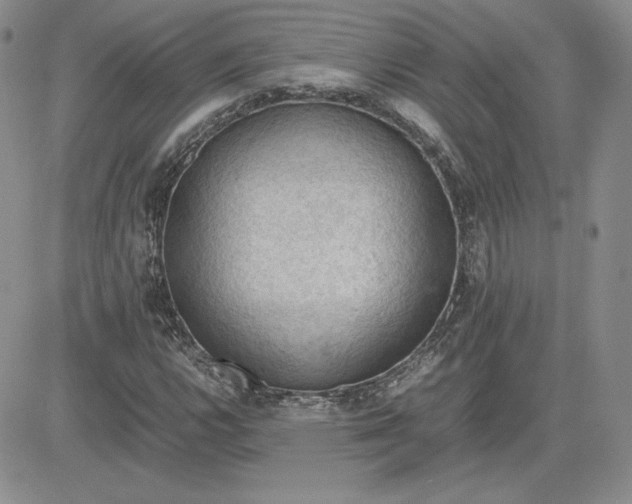 X0000081311112200701251736