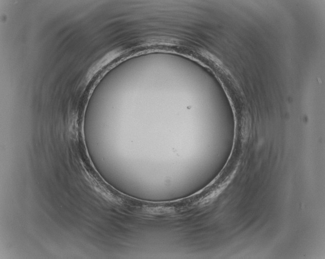 X0000081311113200701251736