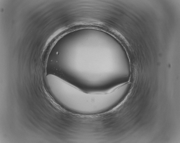 X0000081311114200701251736