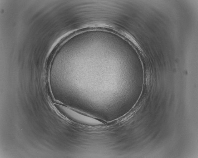 X0000081311116200701251736