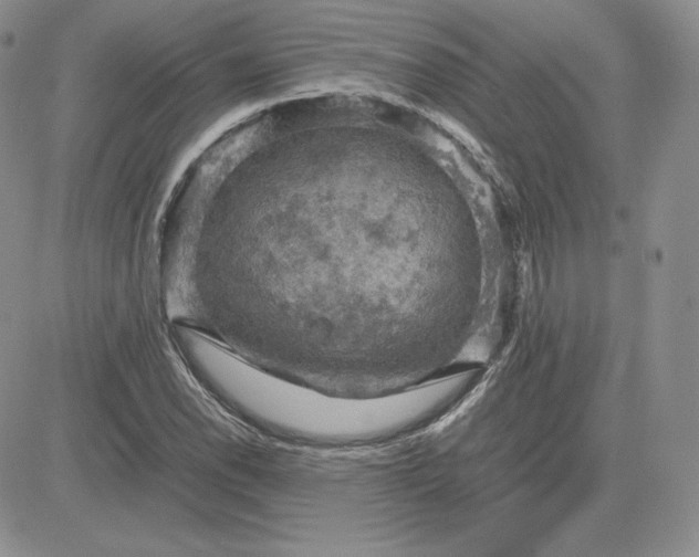 X0000081311118200701251736