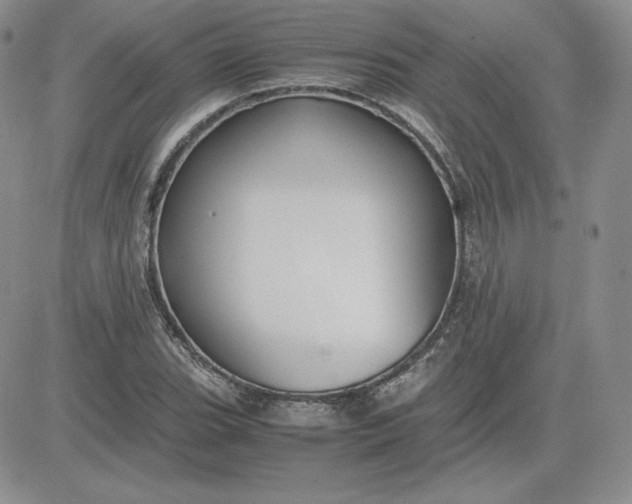 X0000081311119200701251736