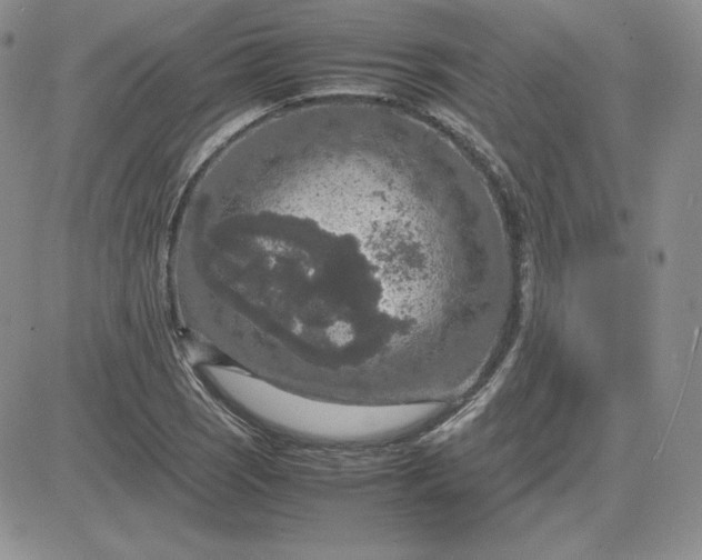 X0000081311121200701251736