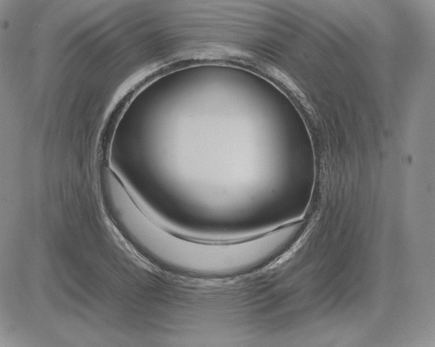 X0000081311122200701251736