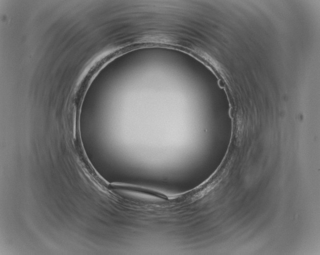 X0000081311123200701251736