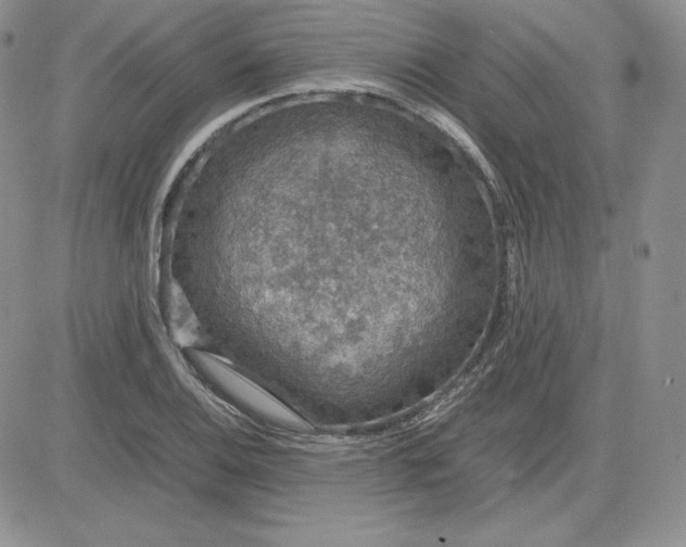 X0000081311124200701251736