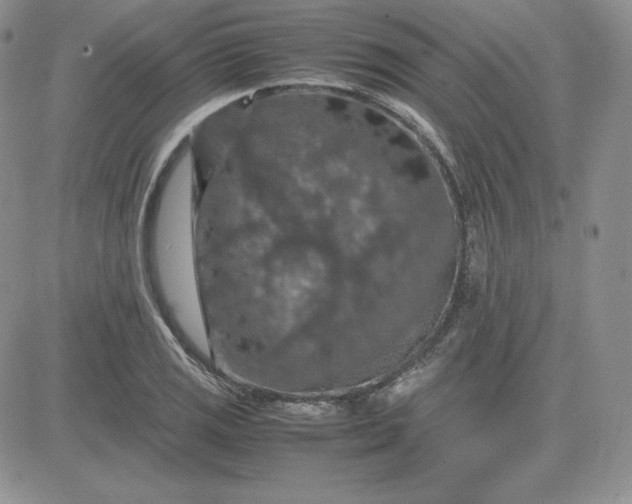 X0000081311125200701251736