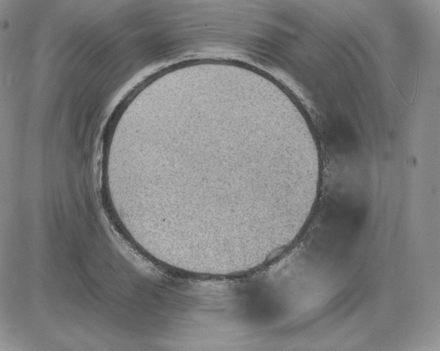 X0000081311126200701251736