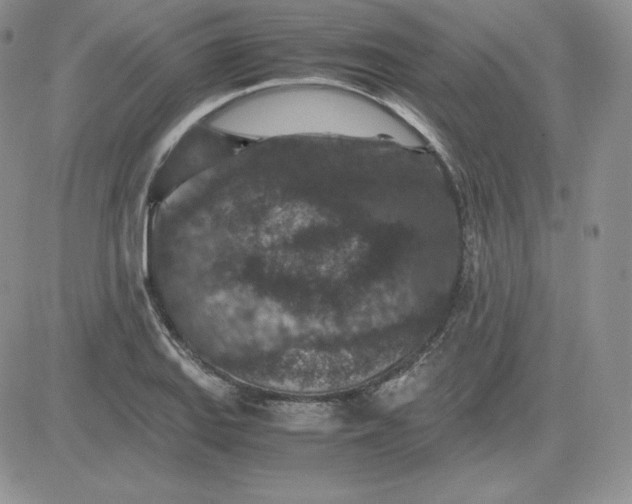 X0000081311127200701251736