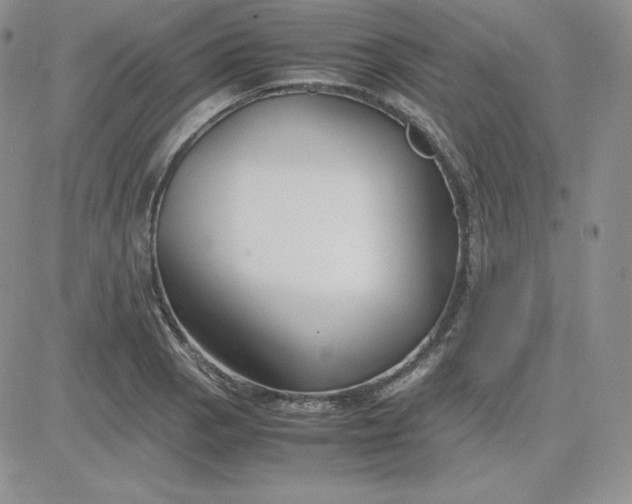 X0000081311129200701251736