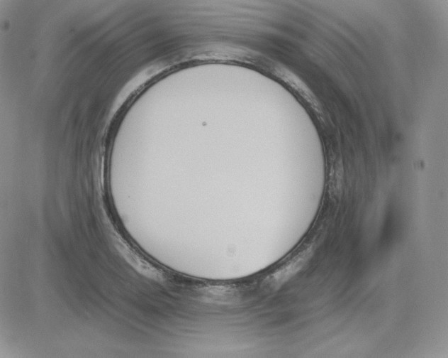 X0000081311130200701251736