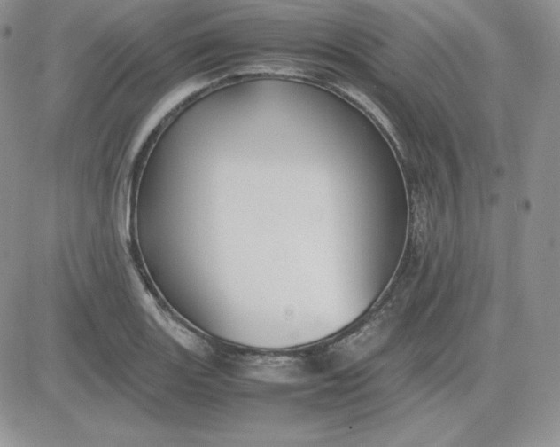 X0000081311131200701251736