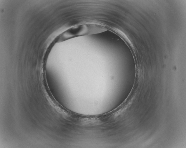 X0000081311133200701251736