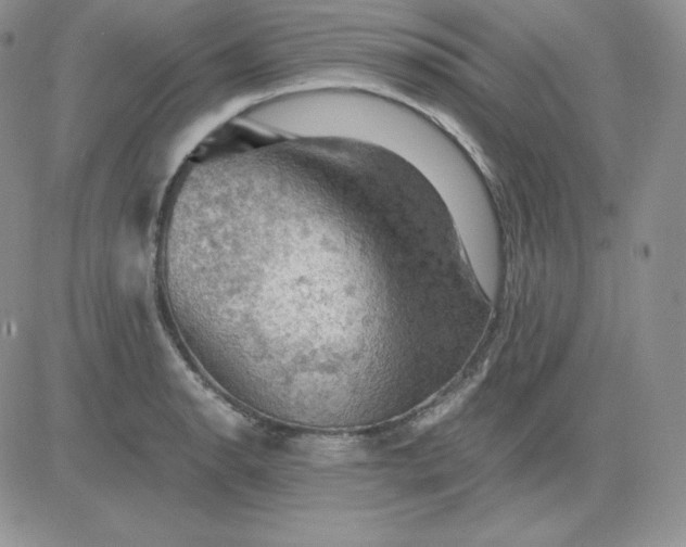 X0000081311134200701251736