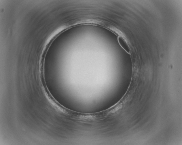 X0000081311135200701251736