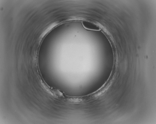 X0000081311137200701251736