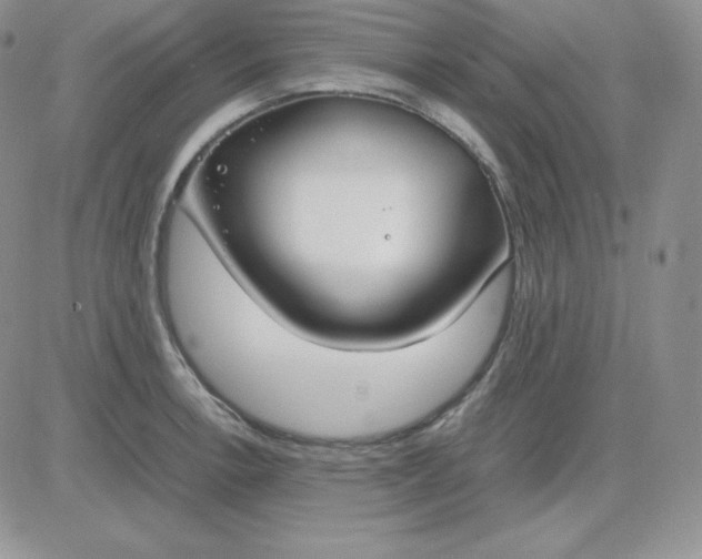 X0000081311138200701251736