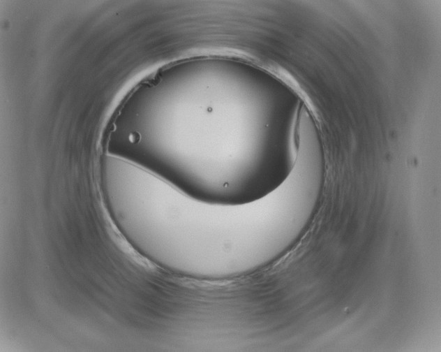 X0000081311140200701251736