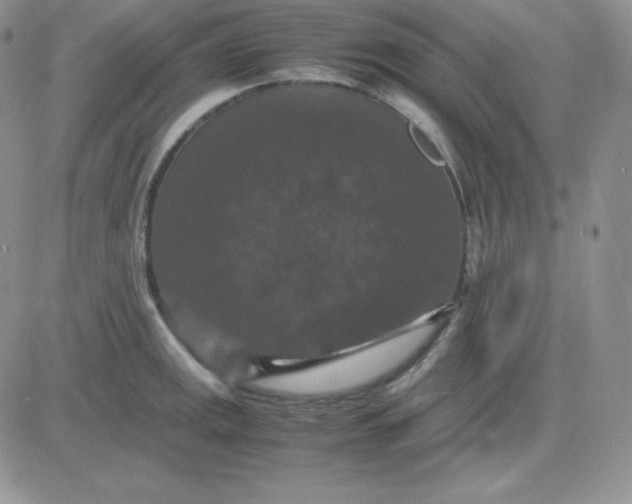 X0000081311141200701251736