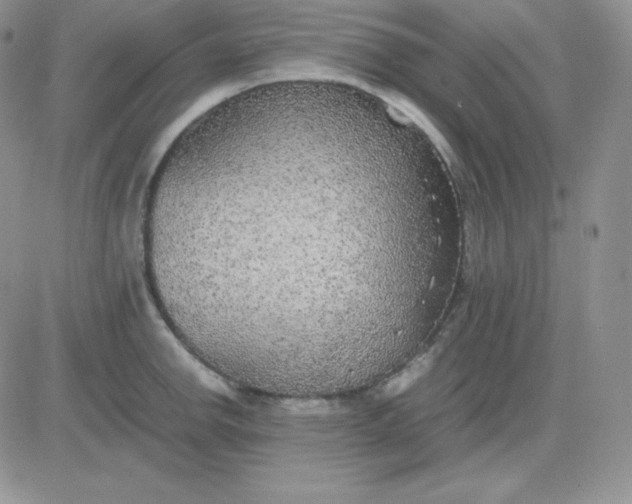 X0000081311142200701251736