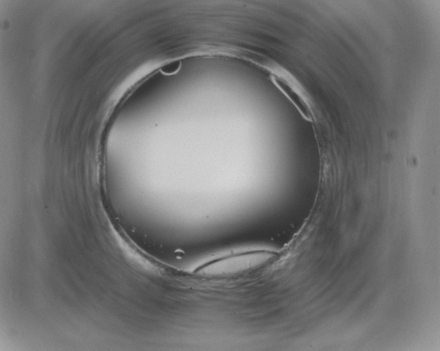 X0000081311143200701251736