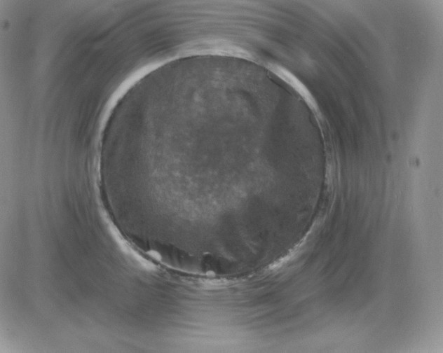 X0000081311144200701251736