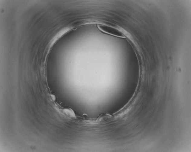 X0000081311145200701251736