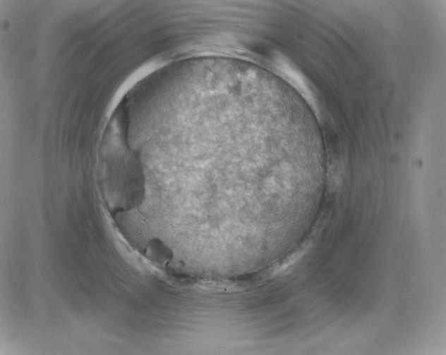 X0000081311146200701251736