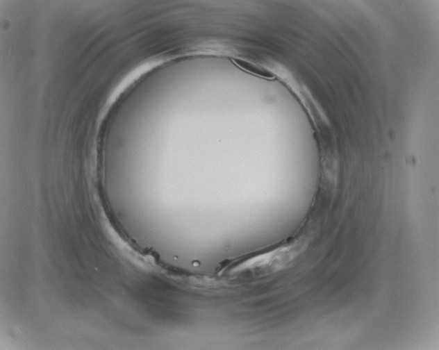 X0000081311147200701251736