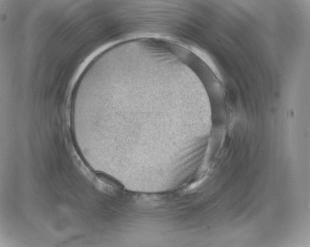 X0000081311148200701251736