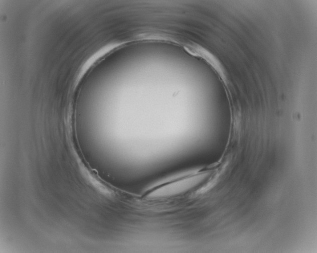 X0000081311149200701251736